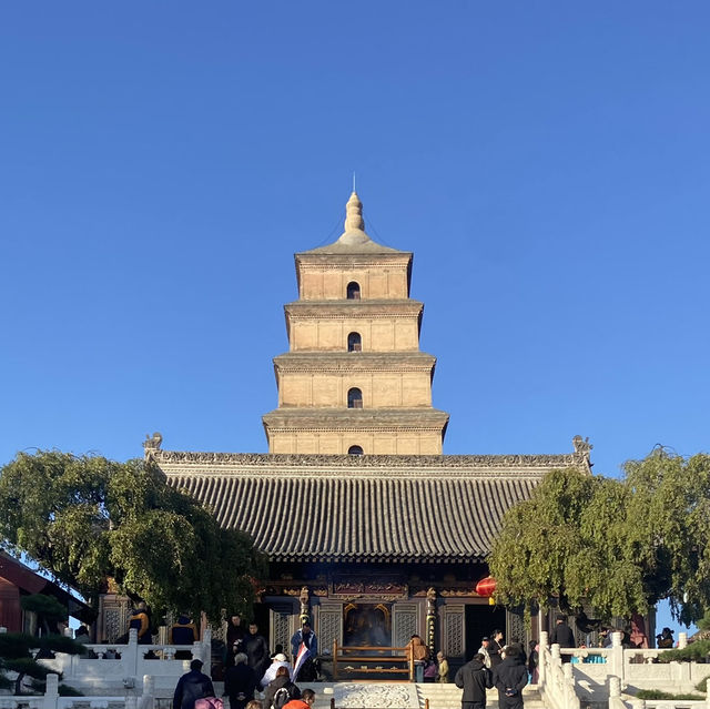 13-day Tour of Shanghai, Dezhou, Beijing, and More