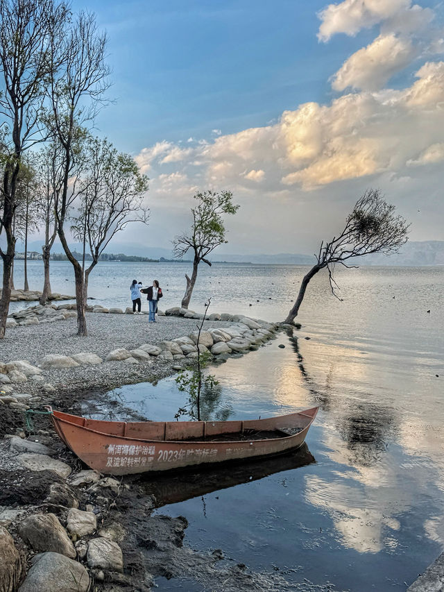 The Perfect Curve: A Springtime Pause at Dali’s Scenic S湾
