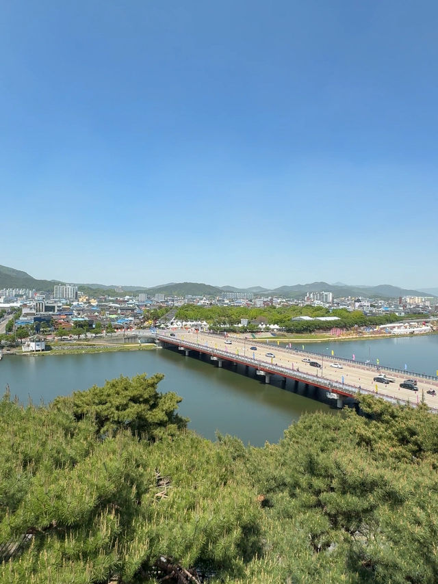 지도에도 안 나오는 1,000원 뷰맛집 카페