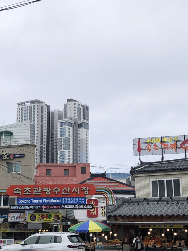 🗺️ 속초 여행 코스: 속초중앙시장 & 모녀가리비 맛집 탐방