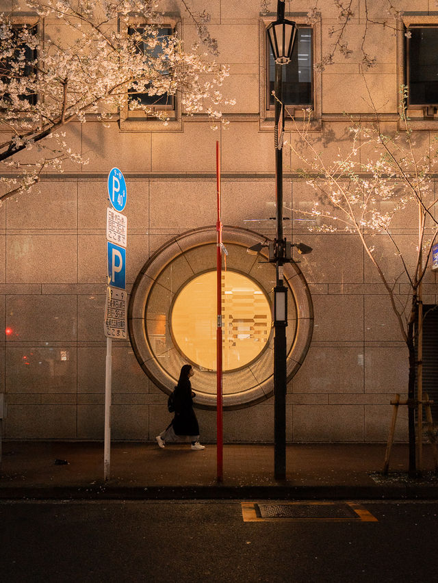 도쿄 벚꽃 감성 밤거리 니혼바시