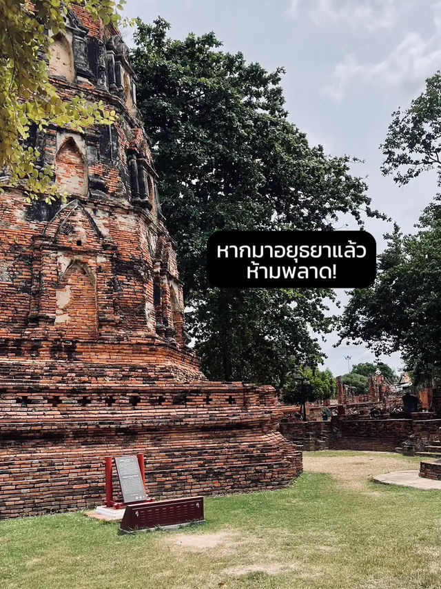 🧡พาเที่ยว "วัดมหาธาตุ" อุทธยานประวัติศาสตร์✨