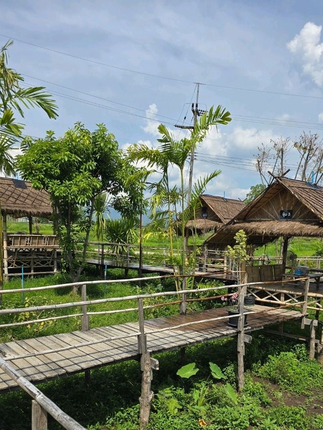ล้านวิว บ้านฟาร์มคาเฟ่ ครอบครัว