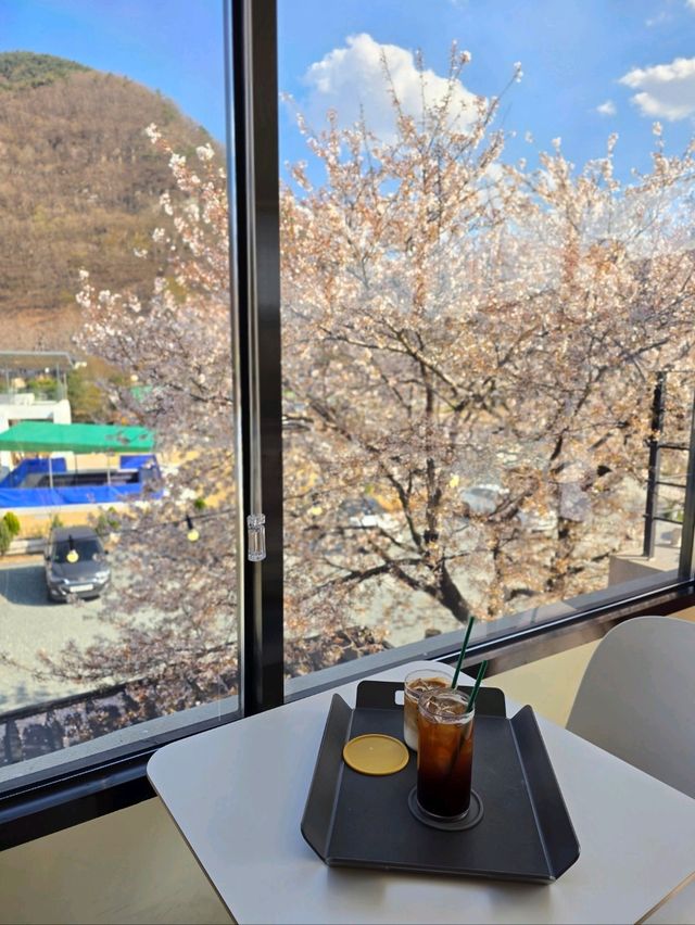 벚꽃액자샷을 찍을수 있는 밀양 감성카페🌸