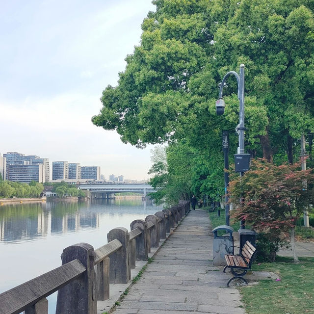 🌳運糧鄰畔公園🌳恬靜之美 🌅