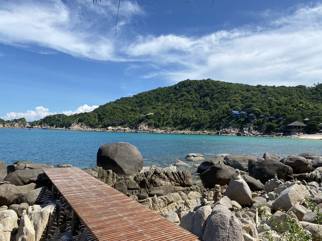เกาะเต่า สุราษฎร์ธานี 