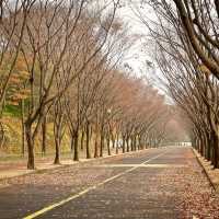Incheon Grand Park (Incheon)