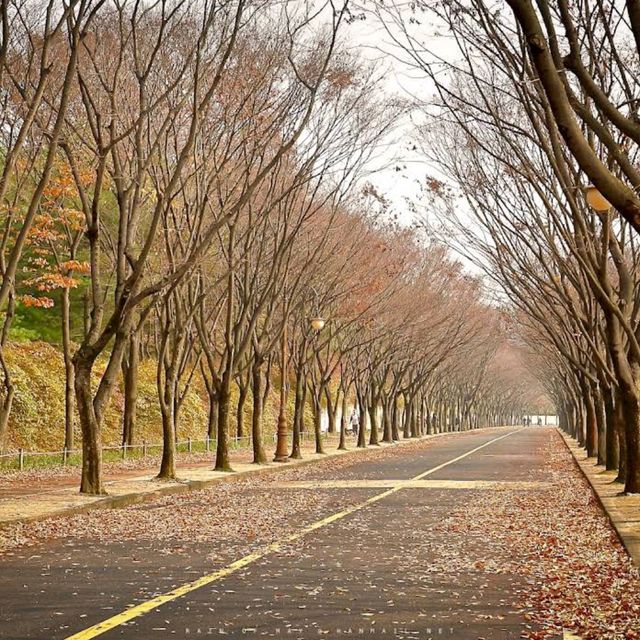 Incheon Grand Park (Incheon)