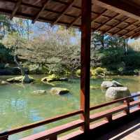 Garden Adventure – Hamilton Gardens in Full Bloom