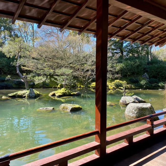 Garden Adventure – Hamilton Gardens in Full Bloom