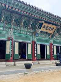 🪷부처님 오신날에 여긴 꼭 가야죠!🪷