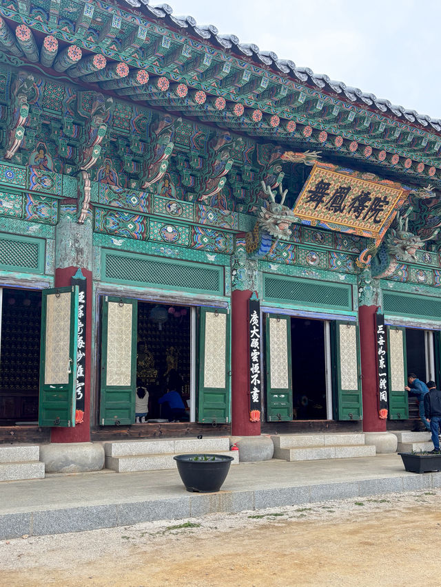 🪷부처님 오신날에 여긴 꼭 가야죠!🪷