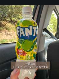 【沖縄旅行】沖縄旅行のおすすめや定番スポット紹介😍