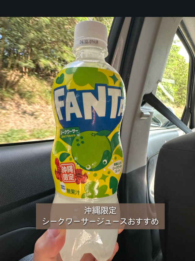 【沖縄旅行】沖縄旅行のおすすめや定番スポット紹介😍