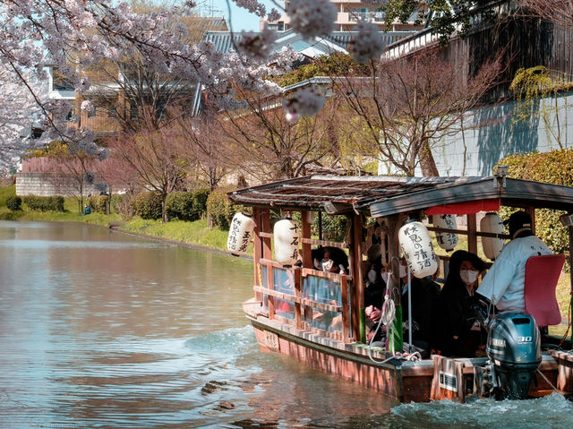 Kyoto – Where Blossoms Breathe Through Ancient Streets