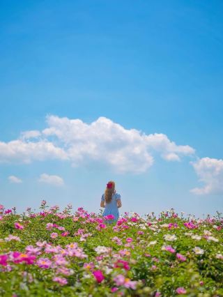 🌸작약 꽃이 한가득 임실여행🌸