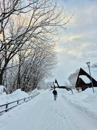 Asahikawa Winter Escape: Snow Sculptures, Penguins & Private Onsen Bliss