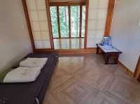 Cherry Blossom Templestay