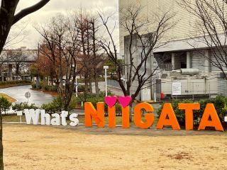 新潟經典路線 | 從神社散步到清酒微醺的一日提案