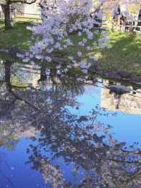 Sapporo | Just a City Park… but Unreal Levels of Beauty 🌸📷