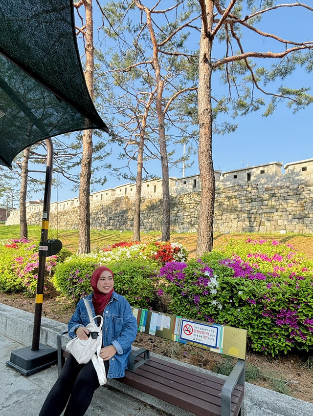 Small Budget Traveling to Seoul, Korea