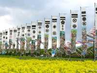 【栃木県】鯉のぼりと菜の花畑のコラボ「那須ハートフルファーム」