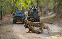 Ranthambore Tiger Reserve