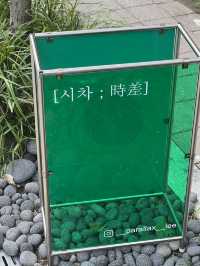 성안길 감성카페 시차 🌿