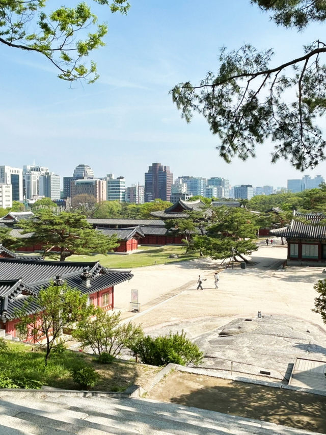 창경궁, 조선의 시간