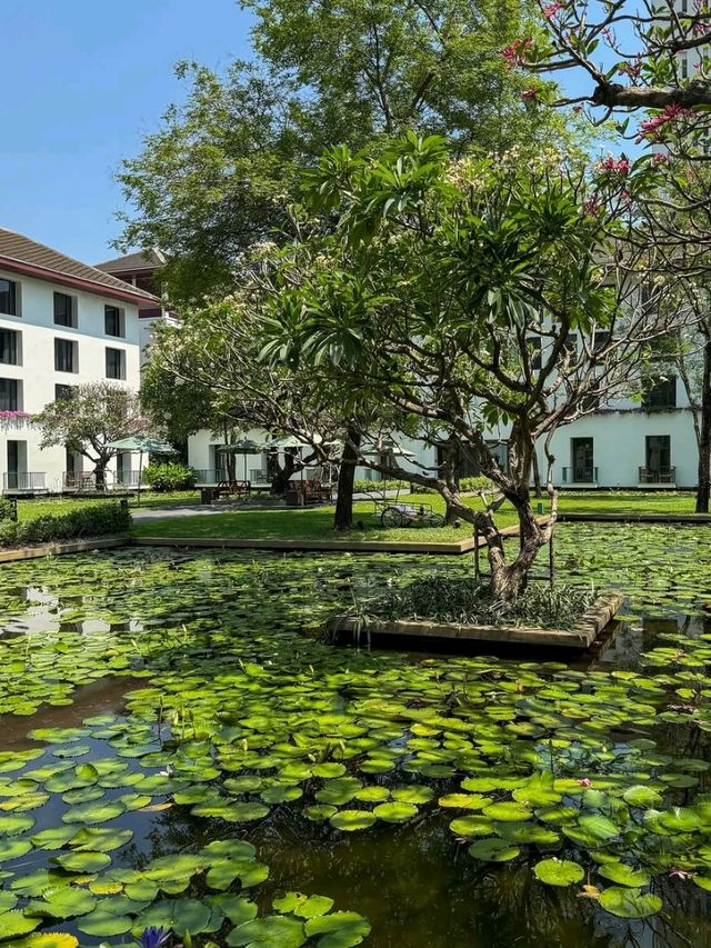 Royal Vibes in the City! – Sukhothai Bangkok Hotel