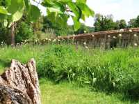 Sunshine, Secrets, and Blooms at Calke Abbey – A National Trust Gem