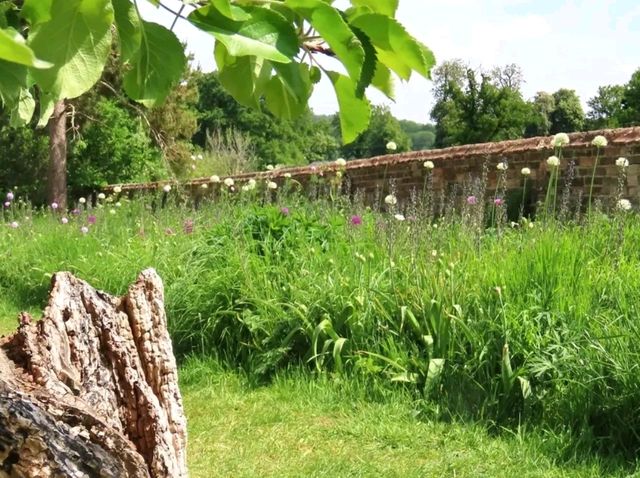 Sunshine, Secrets, and Blooms at Calke Abbey – A National Trust Gem