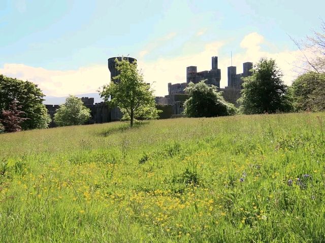 Penrhyn Castle – Grandeur, Gardens & North Wales Magic!