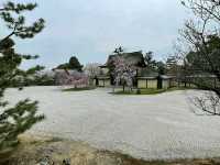 Arashiyama Bamboo Grove – A Serene Escape in Kyoto