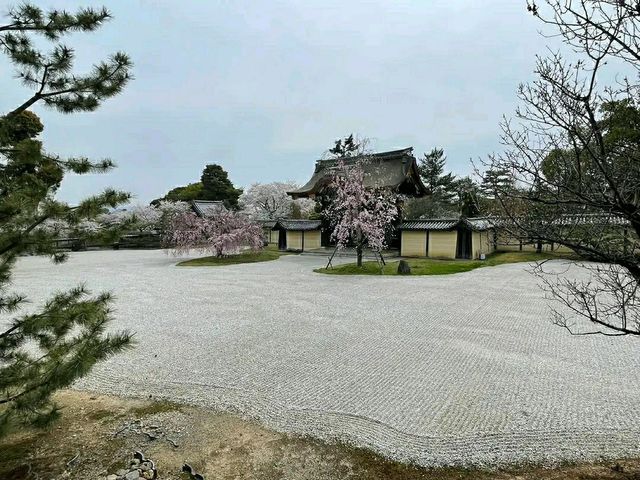 Arashiyama Bamboo Grove – A Serene Escape in Kyoto