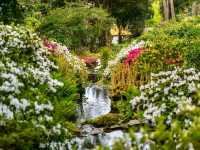 Bodnant Garden – A Glorious Day Among Blossoms and Sunlight
