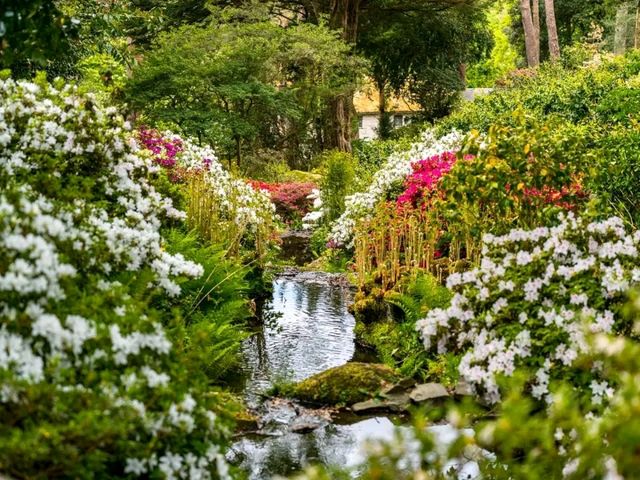 Bodnant Garden – A Glorious Day Among Blossoms and Sunlight