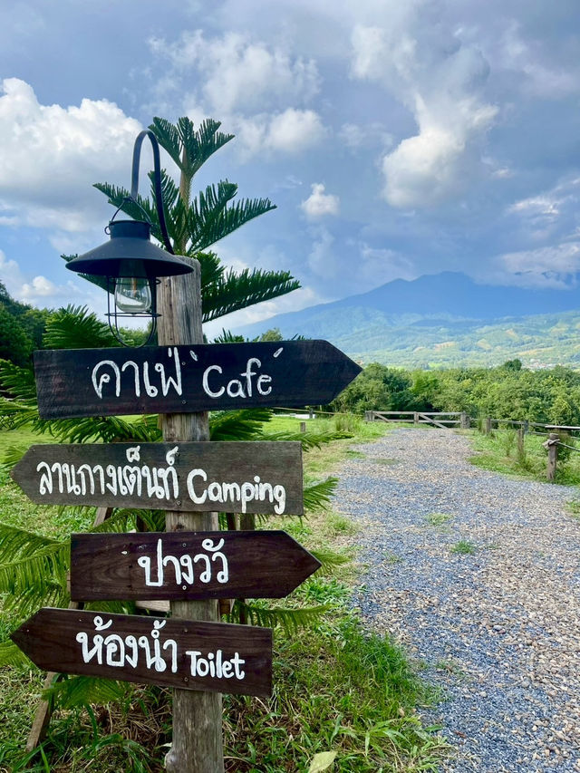 ไร่ปางวัว🐄 @น่าน