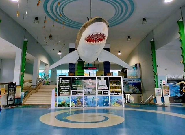 พิพิธภัณฑ์สัตว์น้ำหว้ากอ แหล่งเรียนรู้ทางทะเลใต้