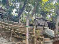 คาเฟ่เสือผืน หมอนใบ