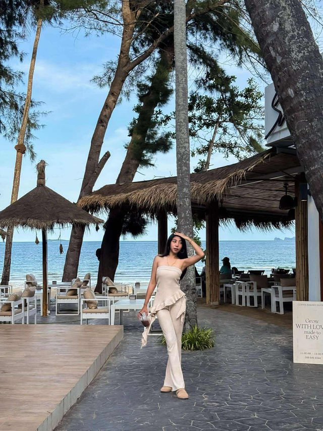  Summer Beach Café