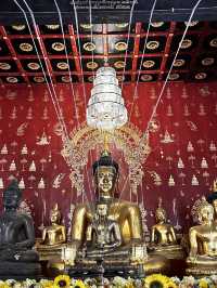 Premium hospitality hotels in chaing mai