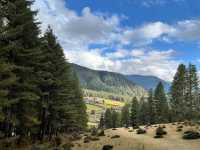 Phobjikha Valley – Blue Skies & Quiet Beauty 