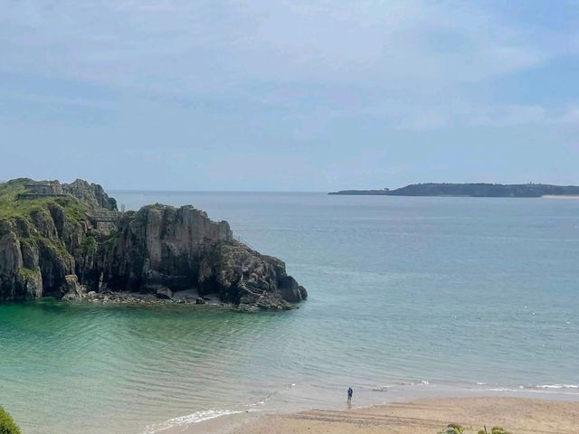 Tenby Looking ‘Pawsitively’ Tropical – A Slice of Paradise in Wales