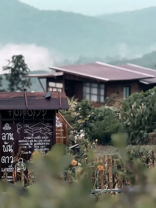 “หนีเมือง มานอนดูดาวที่ลานพันดาว” 🌲✨