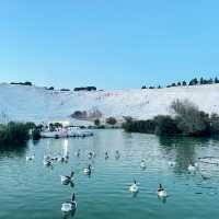 土耳其棉堡熱氣球 雪白溫泉奇蹟