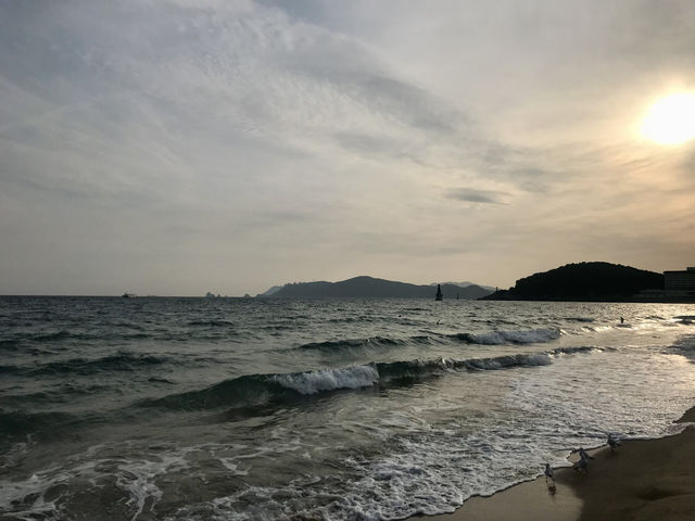 [부산 송정해수욕장] – 한적하고 쾌적한 여유로운 바다
