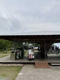 海と森に抱かれた絶景カフェ「COEDA HOUSE」で癒しのひとときを 