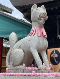 A Slow & Charming Stroll in Inuyama