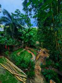 Hidden Garden, Hidden Vibes
